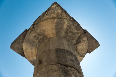 Olympia - kutsal Antik Yunanistan'da sütununda