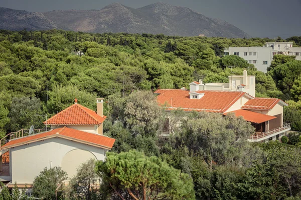 Maisons résidentielles parmi les arbres — Photo