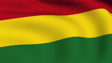 Bolivya bayraklı ilmekledi