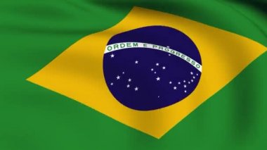 Brezilya bayraklı ilmekledi