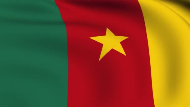 Pod vlajkou Kamerun smyčce — Stock video