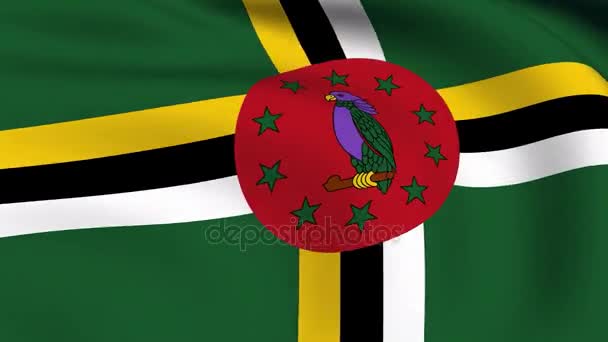 Drapeau volant de DOMINIQUE LOOPED 