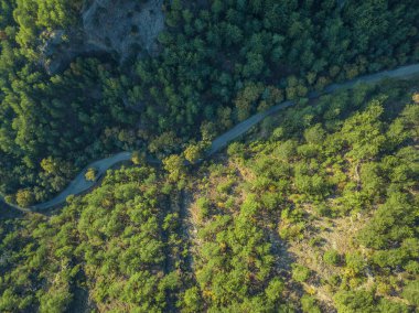 Kuş bakışı bir dağ yolu