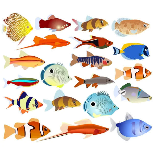 Een set van aquariumvissen Stockillustratie