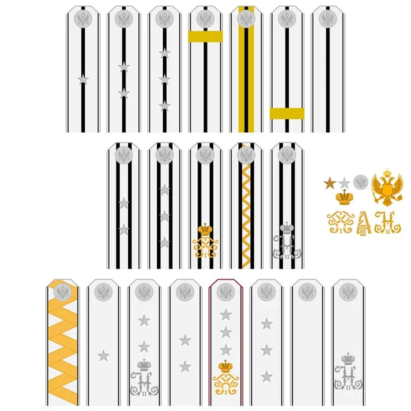 Insígnia de doutores e farmacêuticos na Rússia 1893-1908 ano — Vetor de Stock