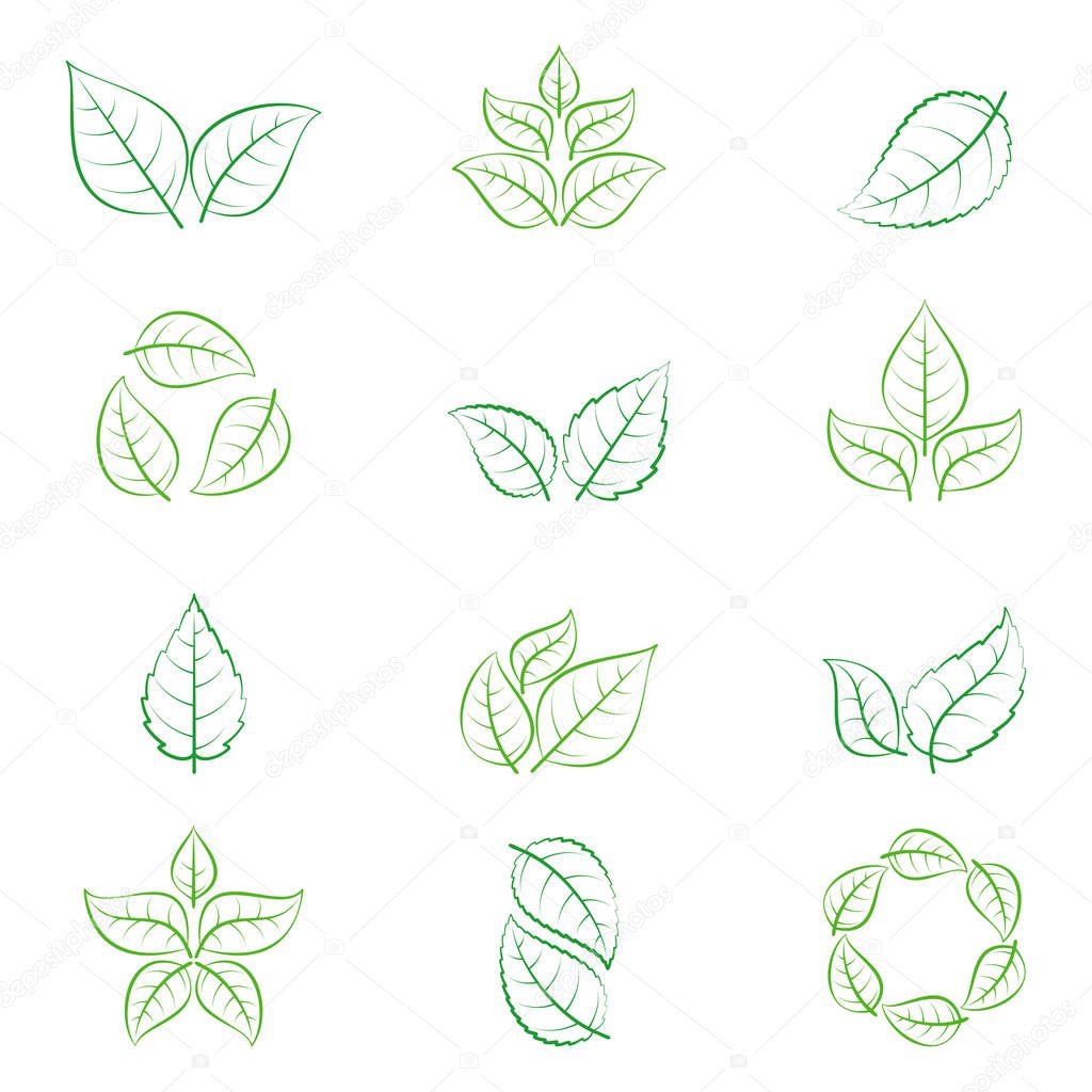 Green leaves of trees and plants isolated on white background. Ecology icons or logo collection