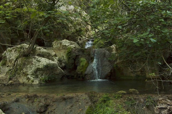 Las mały wodospad — Zdjęcie stockowe