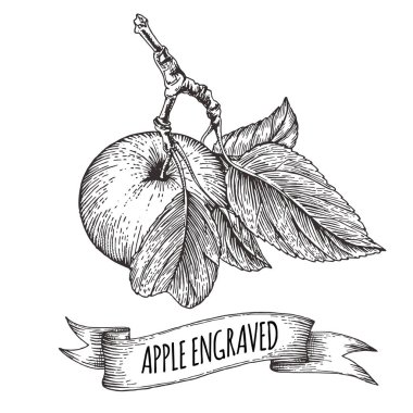 El çizimi vektör illüstrasyonu