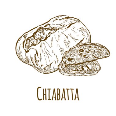 Chiabatta, el çizilmiş vektör