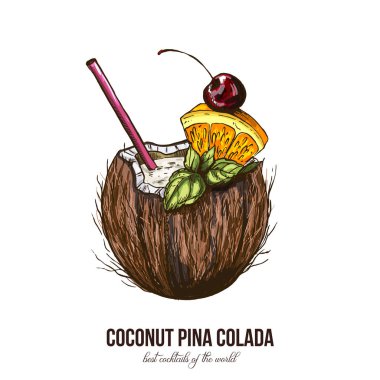 Hindistan cevizi Pina Colada, vektör çizim