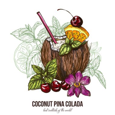 Hindistan cevizi Pina Colada orkide çiçek