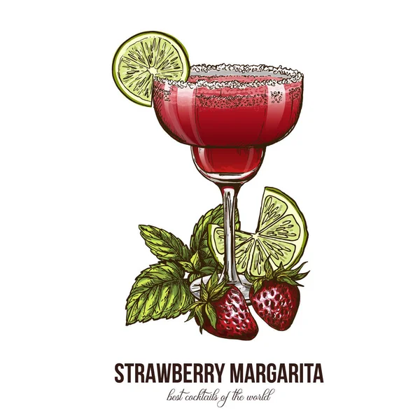 Strawberry Margarita cocktail with berries — Stock Vector
