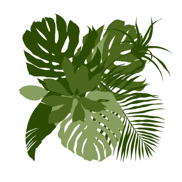 Composizione verde con foglie tropicali piane — Vettoriale Stock