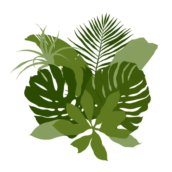 Зеленая композиция с тропическими листьями — стоковый вектор