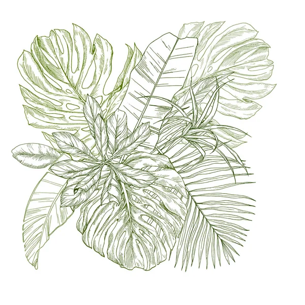 Composición del boceto con hojas tropicales — Vector de stock