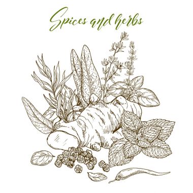 mutfak otlar ve baharatlar