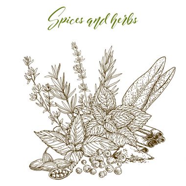 mutfak otlar ve baharatlar