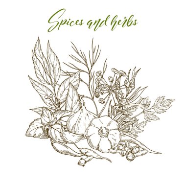 mutfak otlar ve baharatlar