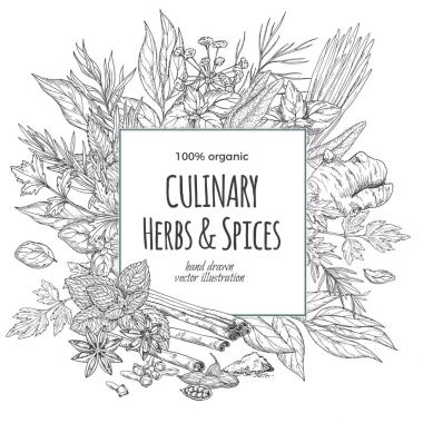 Mutfak otlar ve baharatlar ile çevrili kare çerçeve