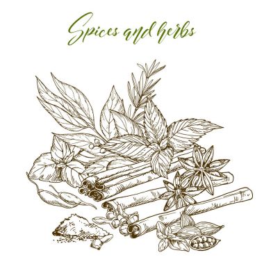 mutfak otlar ve baharatlar