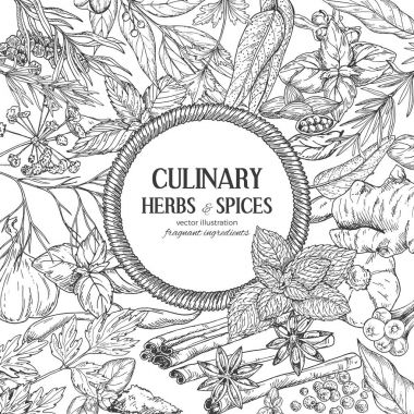 Renkli kroki otlar ve baharatlar ile çevrili yuvarlak ip afiş