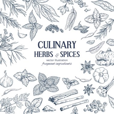 elle çizilmiş otlar ve baharatlar oluşan çerçeve 