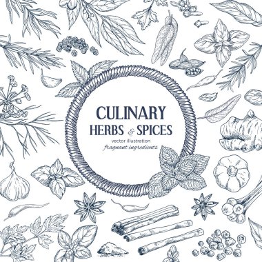 Renkli kroki otlar ve baharatlar ile çevrili yuvarlak ip afiş