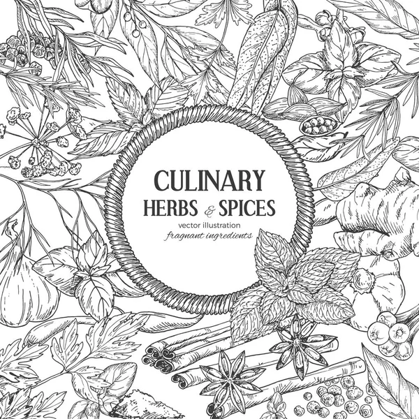 Renkli kroki otlar ve baharatlar ile çevrili yuvarlak ip afiş