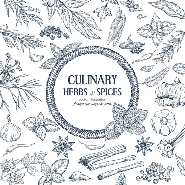 Renkli kroki otlar ve baharatlar ile çevrili yuvarlak ip afiş