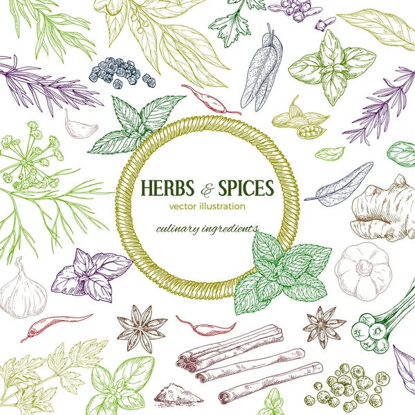 Renkli kroki otlar ve baharatlar ile çevrili yuvarlak ip afiş