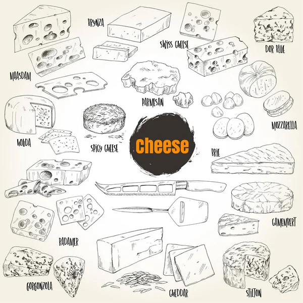 Raccolta differenziata di formaggi disegnati a mano — Vettoriale Stock