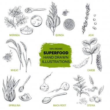 Superfood, elle çizilmiş kroki