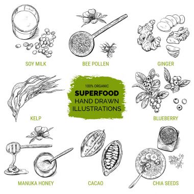 Superfood, elle çizilmiş kroki
