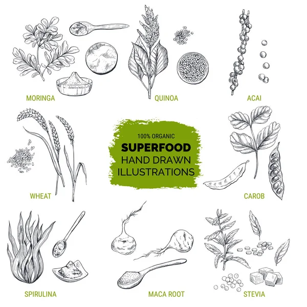 Superfood, συρμένο χέρι σκίτσο — Διανυσματικό Αρχείο