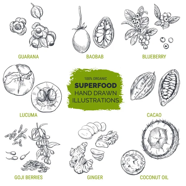 Superfood, esboço desenhado à mão — Vetor de Stock