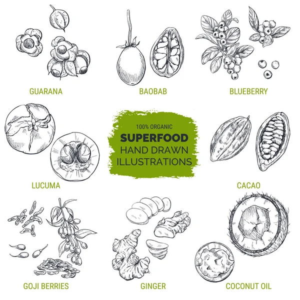 Superfood, gambar tangan sketsa - Stok Vektor