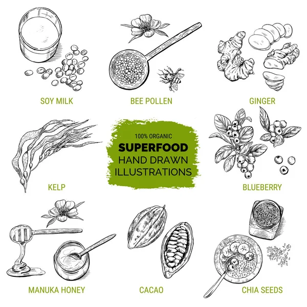 Superfood, hand getrokken schets — Stockvector