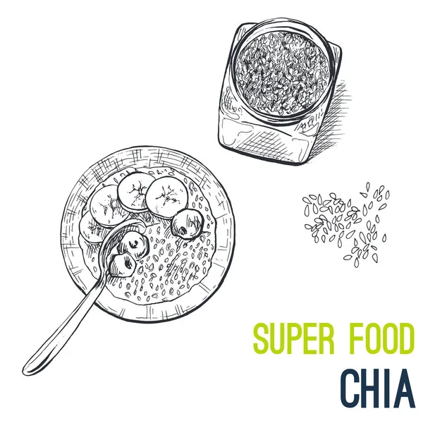 Chia semínka. Super jídlo ručně tažené skica vektor — Stockový vektor