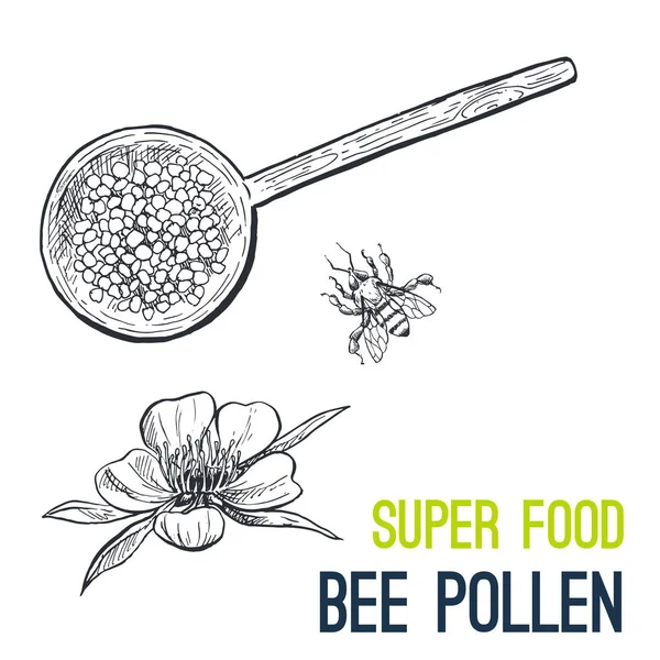 Arı polen. Süper gıda el çizilmiş kroki vektör — Stok Vektör