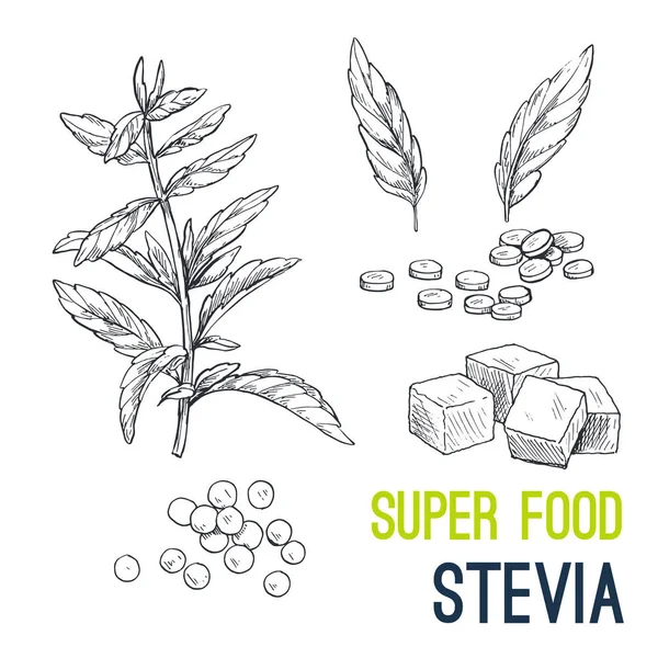 Super alimento dibujado a mano vector de boceto — Vector de stock