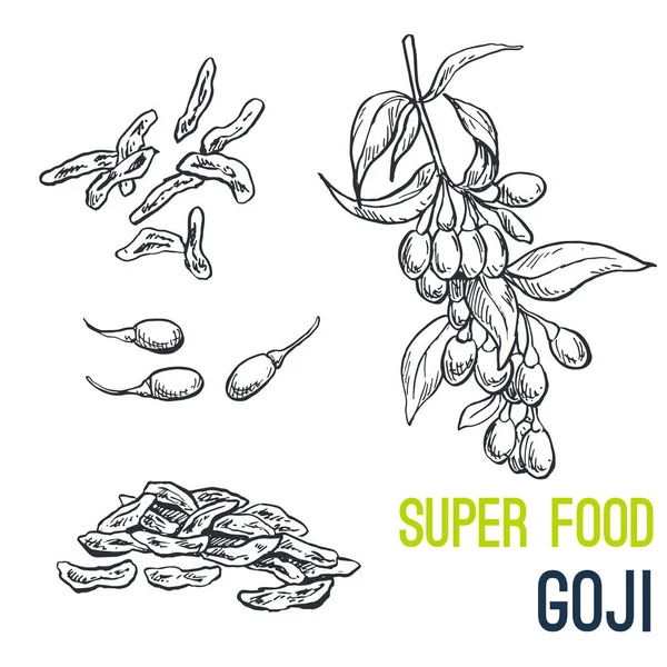 Goji, Super alimentos dibujado a mano vector de boceto — Vector de stock