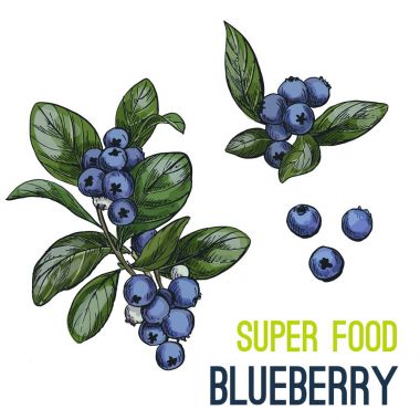 Tam renkli süper gıda el çizilmiş kroki 