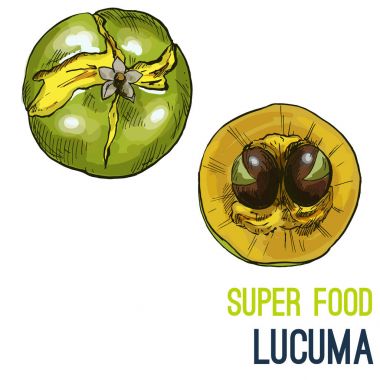 Tam renkli süper gıda el çizilmiş kroki 