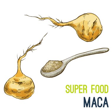 Tam renkli süper gıda el çizilmiş kroki 