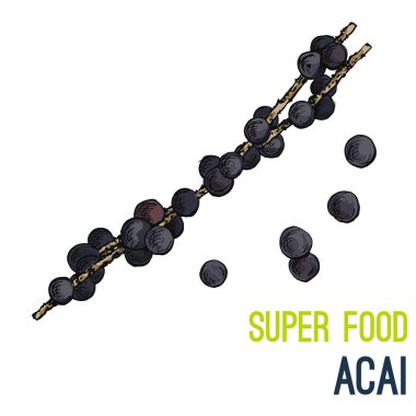 Tam renkli süper gıda el çizilmiş kroki 