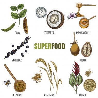 Superfood ayarlayın. Tam renkli gerçekçi kroki