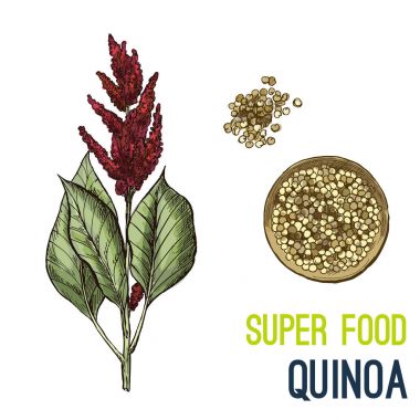 Tam renkli süper gıda el çizilmiş kroki 