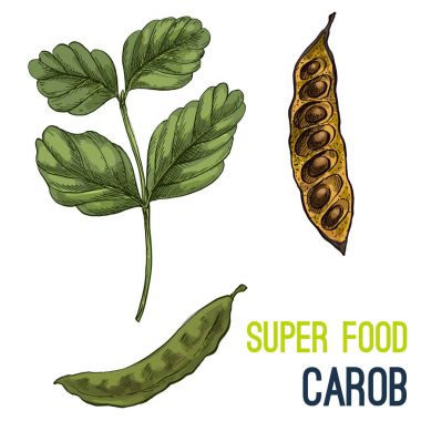 Tam renkli süper gıda el çizilmiş kroki 