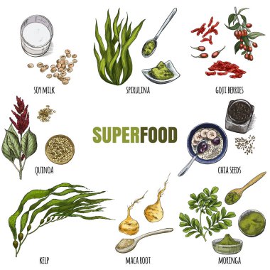 Superfood ayarlayın. Tam renkli gerçekçi kroki