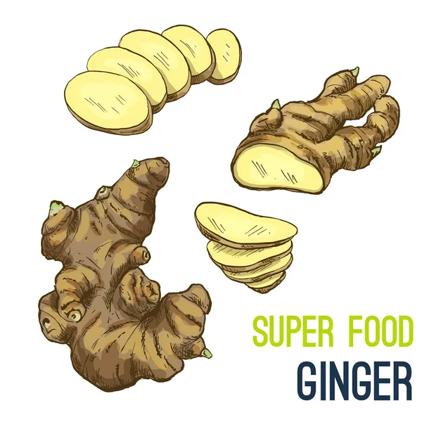 Croquis dessiné à la main en couleur super food — Image vectorielle